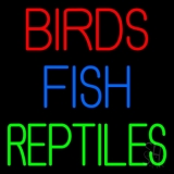 Birds Fish Reptiles 1 Neon Sign