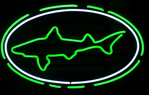 Dogfish Head Logo Neon Sign