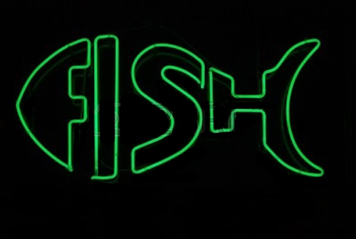 Green Double Stroke Fish Neon Sign