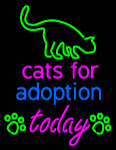 Custom Cats For Adoption Today Neon Sign 1