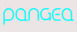 Custom Pangea Neon Sign 2