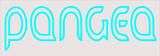 Custom Pangea Neon Sign 4