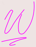 Custom Pink W Logo Neon Sign 4
