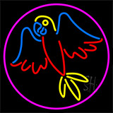 Parrot With Pink Border Neon Sign