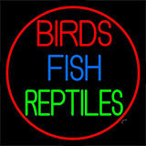 Birds Fish Reptiles 2 Neon Sign