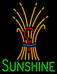 Sunshine With Logo Neon Sign