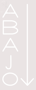 Custom Abajo Neon Sign 6