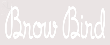 Custom Brow Bird Neon Sign 2