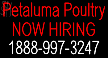 Custom Petaluma Poultry Now Hiring Neon Sign 1