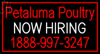 Custom Petaluma Poultry Now Hiring Neon Sign 13