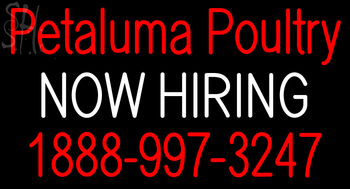 Custom Petaluma Poultry Now Hiring Neon Sign 14