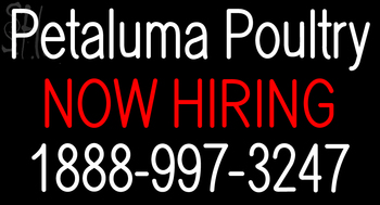 Custom Petaluma Poultry Now Hiring Neon Sign 8