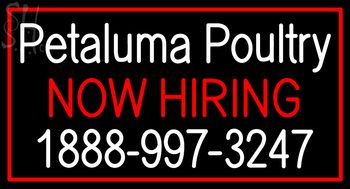 Custom Petaluma Poultry Now Hiring Neon Sign 9