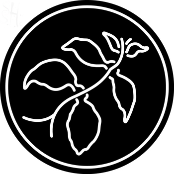 Custom Stone Fruit Coffee Logo Neon Sign 2