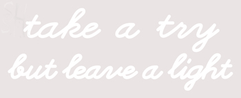 Custom Take A Try But Leave A Light Neon Sign 2