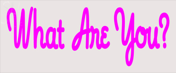 Custom What Are You Neon Sign 1