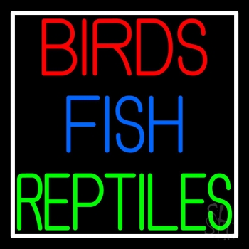 Birds Fish Reptiles Neon Sign