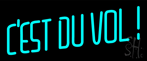 Cest Du Vol Neon Sign