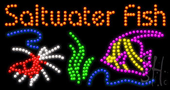 Saltwater Fish Animated Led Sign