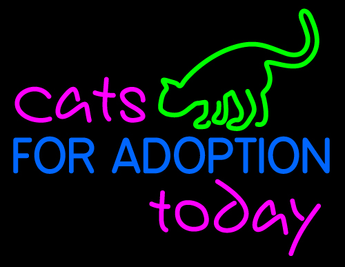 Custom Open Neon Sign 9